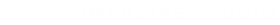 Vimersive